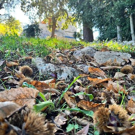 Il Trullo E Il Fortino アルベロベッロ エクステリア 写真
