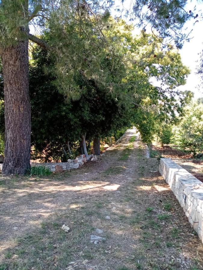 Il Trullo E Il Fortino アルベロベッロ エクステリア 写真